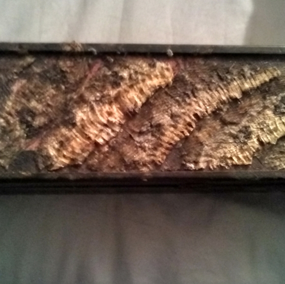 Snake skin Box - Picture 2 of 4